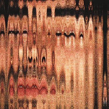 Depresión Sonora "El Arte de Morir Muy Despacio" LP