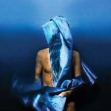 Devendra Banhart "Flying Wig" Blue 🔵 LP