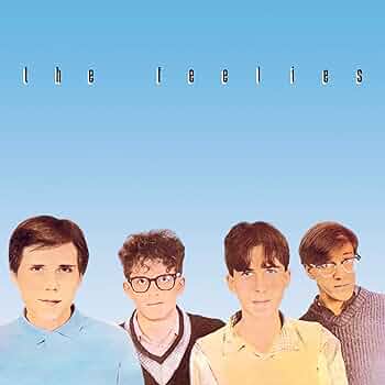 The Feelies "Crazy Rhythms" LP