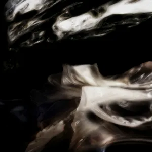 Putochinomaricón "JÁJÁ ÉQÚISDÉ" LP