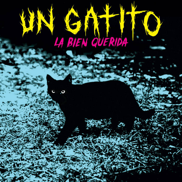 La Bien Querida "Un gatito"