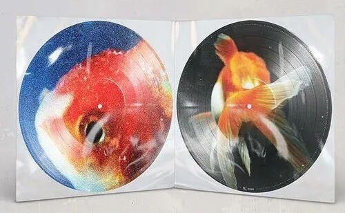 Vince Staples "Big Fish Theory" Picture 2LP