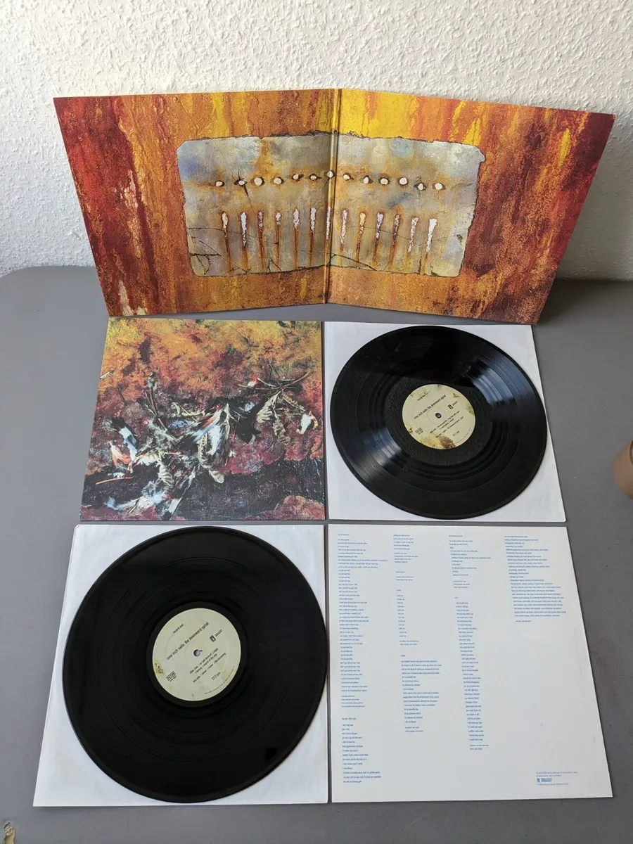 Nine-Inch-Nails-The-Downward-Spiral-comprar-lp-online