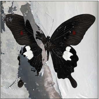 death-cult-paradise-now-comprar-lp-online