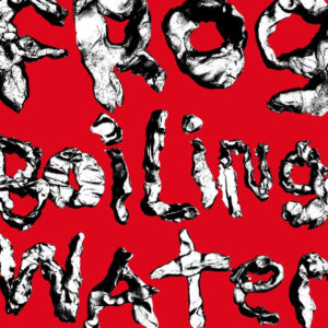 DIIV “Frog In Boiling Water” White ⚪ LP