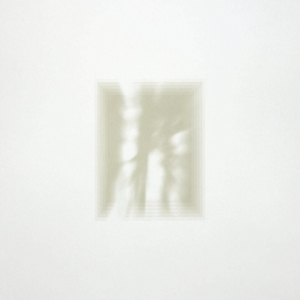 Fat-White-Family-forgiveness-is-yours-clear-lp-comprar-lp-online