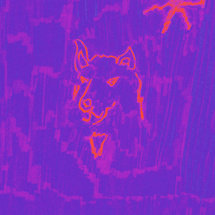 dehd-poetry-Amethyst-Colored-Vinyl-edition-comprar-lp-online-vinilo