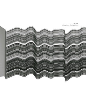 The Bv’s “Taking Pictures Of Taking Pictures” Orange 🟠 LP