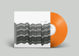 The Bv’s “Taking Pictures Of Taking Pictures” Orange 🟠 LP